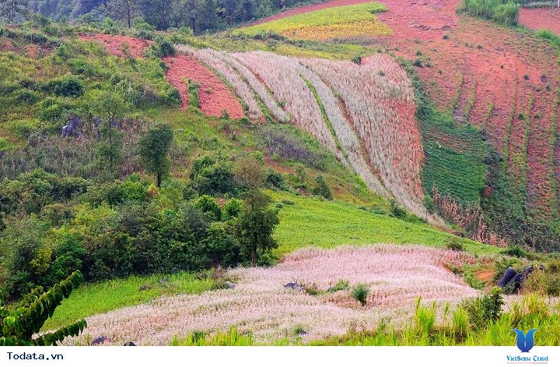 thung lũng sủng là hà giang 2